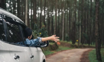 Budaya Healing Di Kalangan Anak Muda