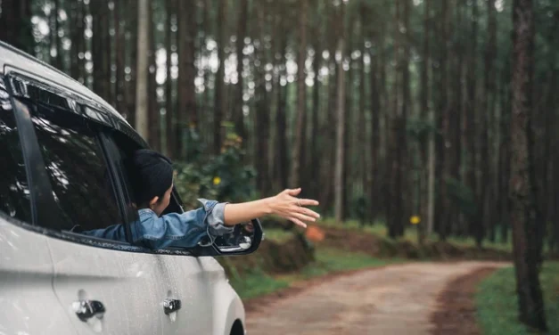 Budaya Healing Di Kalangan Anak Muda