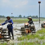 Ragam Kehidupan Modern: Gaya Hidup Dan Perubahan Sosial