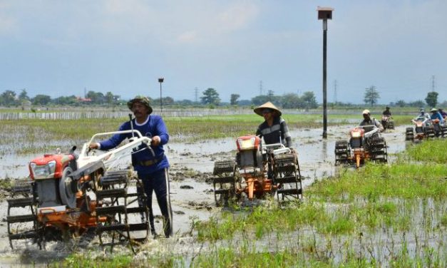 Ragam Kehidupan Modern: Gaya Hidup Dan Perubahan Sosial