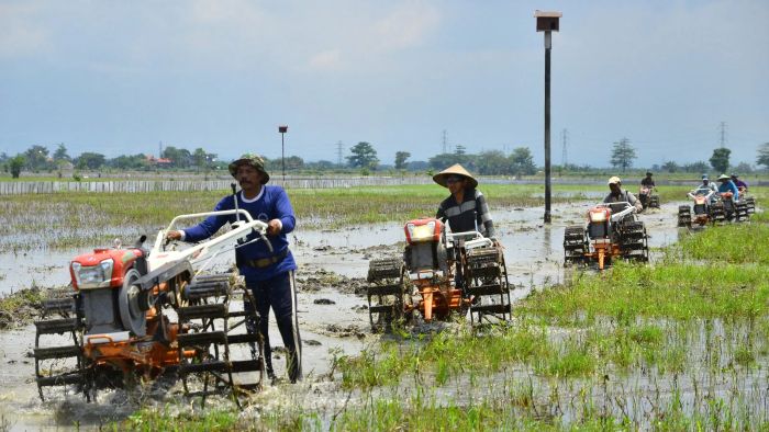 Ragam Kehidupan Modern: Gaya Hidup Dan Perubahan Sosial