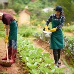 Pola Hidup Sederhana Kembali Diminati Di Tengah Kesibukan Kota