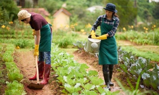 Pola Hidup Sederhana Kembali Diminati Di Tengah Kesibukan Kota