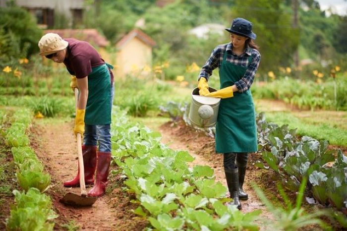 Pola Hidup Sederhana Kembali Diminati Di Tengah Kesibukan Kota