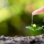 Kebiasaan Baik Yang Bisa Membentuk Karakter Positif